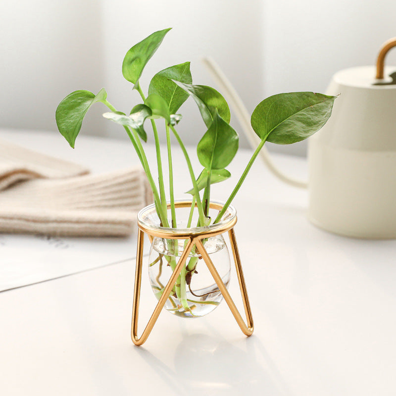 Decorated With Hydroponic Vase Decoration Living Room Dining Table Small Creative Metal Decoration Glass Test Tube