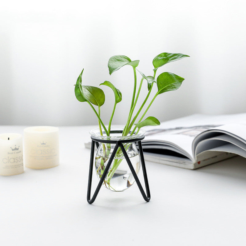 Decorated With Hydroponic Vase Decoration Living Room Dining Table Small Creative Metal Decoration Glass Test Tube