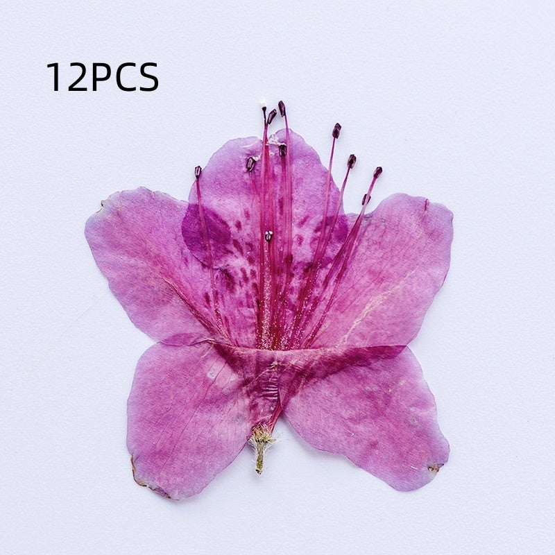 Azalea Dried Flower Ornament