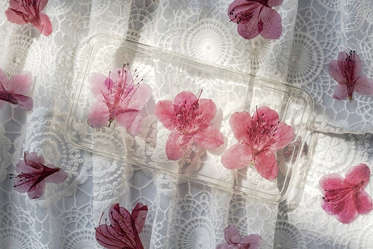 Azalea Dried Flower Ornament