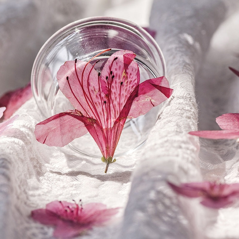 Azalea Dried Flower Ornament
