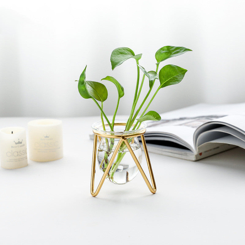 Decorated With Hydroponic Vase Decoration Living Room Dining Table Small  Creative Metal Decoration Glass Test Tube