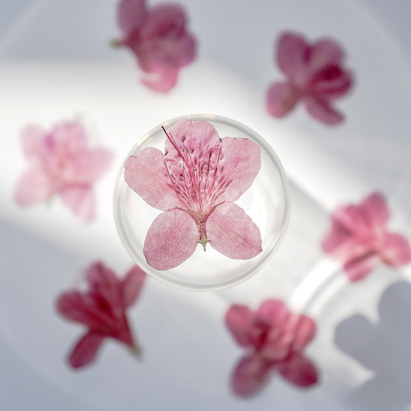 Azalea Dried Flower Ornament